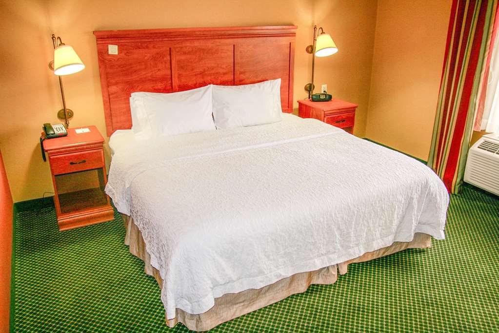 Hampton Inn Garden City Room photo
