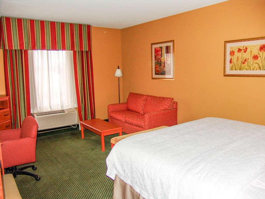 Hampton Inn Garden City Room photo